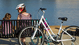 comfort bikes